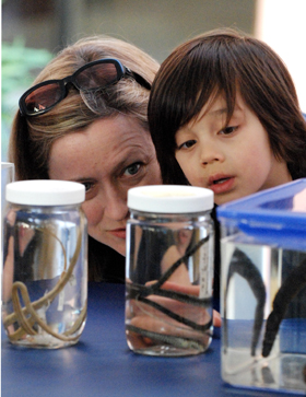 Cal Day visitors looking at a science exhibit 