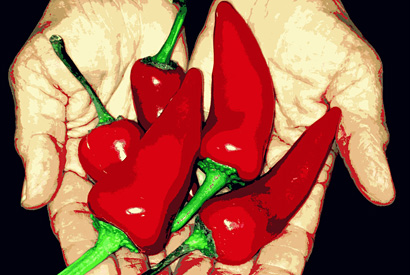 chile peppers