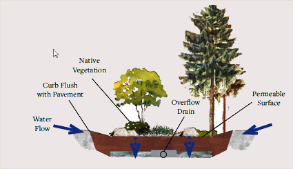 vegetated bio-swale