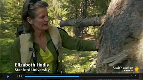 Liz Hadly in clip from documentary