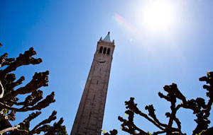 The Campanile and the London plane trees beneath it, as viewed on a recent Cal Day. (UC Berkeley photo by Elena Zhukova)