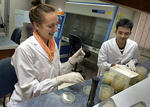 Caitlin working in a Bangladesh lab.