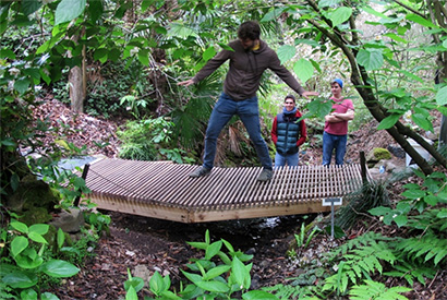 Students Design And Build New Bridge At Botanical Garden