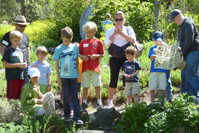 Children and adults explore the garden.