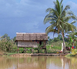 tropical beach