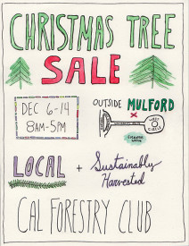 Christmas Tree Sale Flyer 500