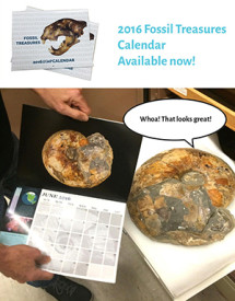 fossil calendar 300