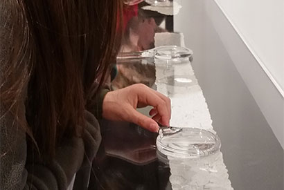 Visitors to the Architecture of Life use magnifying glasses to examine the structure of lace.