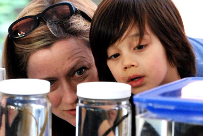 Adult and child looking at science experiment