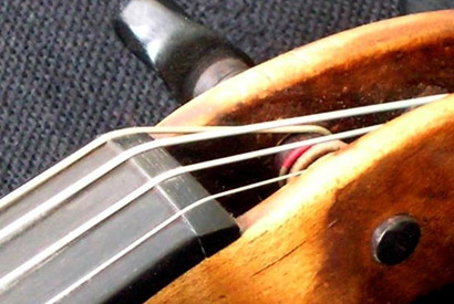 violin