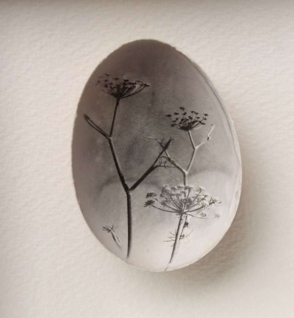 photo printed onto inner membrane of an egg