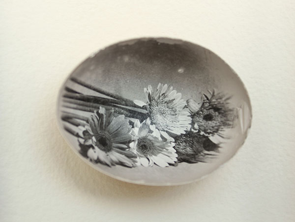 photo printed onto inner membrane of an egg