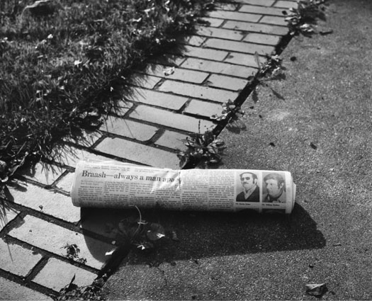 Newspaper on the lawn.