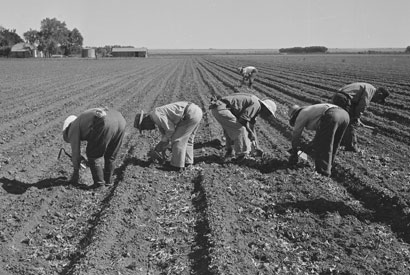 farm workers