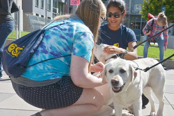 Chancellor's dogs get pets.