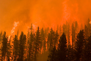 Castle Rock fire, Idaho