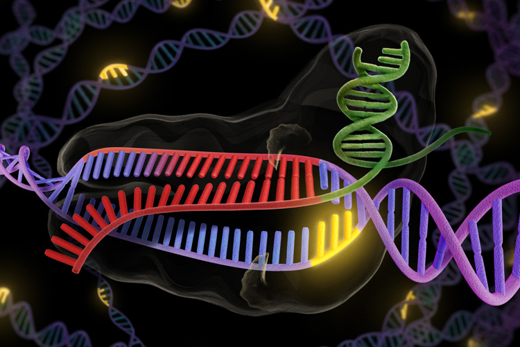 CRISPR graphic