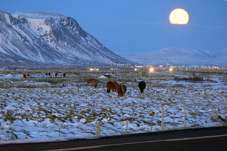 Selfoss on Ring Road