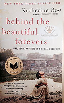 behind the beautiful forevers cover