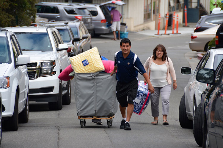 family rolls cart