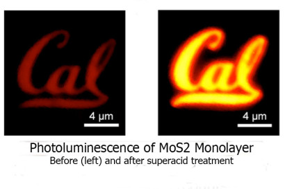 Shown is a MoS2 monolayer semiconductor shaped into a Cal logo. The image on the left shows the material before it was treated with superacid. On the right is the monolayer after treatment. The researchers were able to achieve two orders of magnitude improvement in emitted light with the superacid treatment. (Image by Matin Amani) 