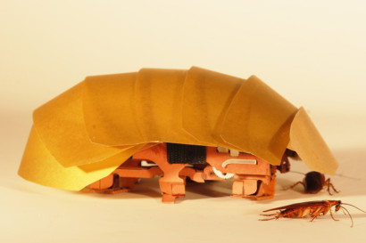 CRAM robot and cockroach