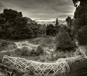 This child-size tunnel, woven from reclaimed timber bamboo in the garden, was designed and built at Blake Garden by UC Berkeley undergraduates. (Photo by Geoffrey Agrons)