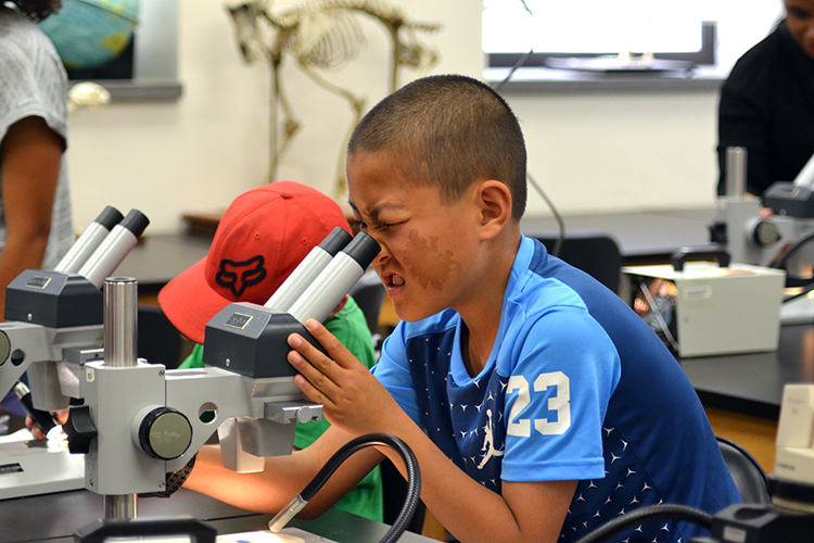 Boy looking through microscope