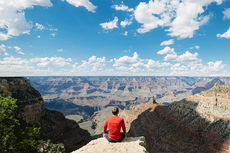 man looking at grand canyon