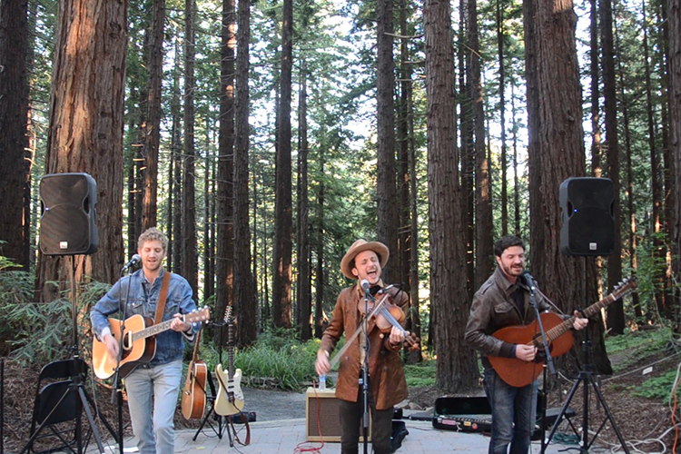 The Whiskerman band plays music in the Redwood Grove at UC Berkeley
