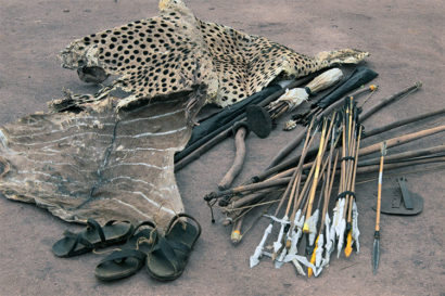 The items above are among the common tools used by poachers (iStock photo.)