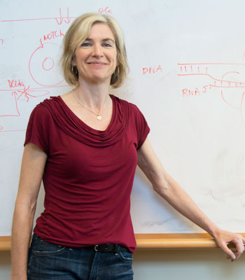UC Berkeley biologist Jennifer Doudna is a member of the Biohub's Scientific Advisory Group.