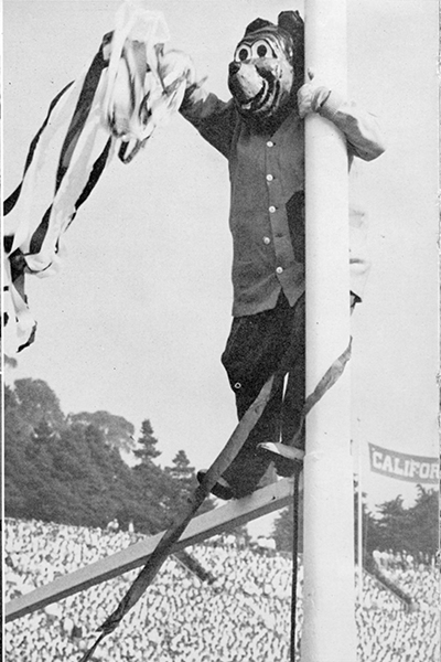 Oski balances on a goal post in the 1950s at Memorial Stadium. (Photo courtesy of Oski Committee)