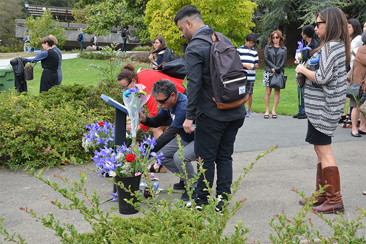 people placing flowers