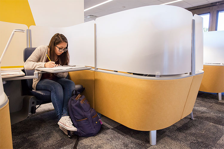 student in carrel