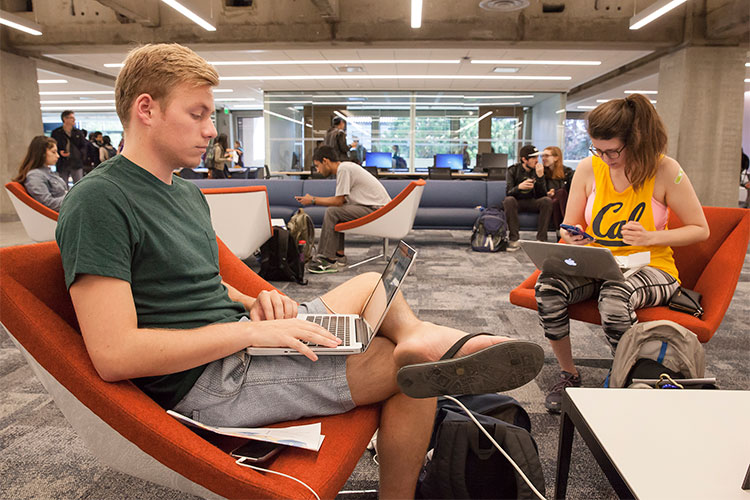 students on laptops