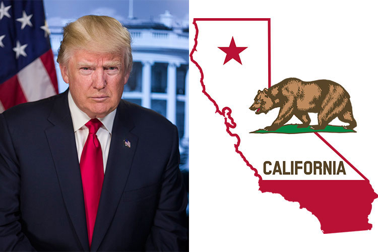 Donald Trump, California map and bear