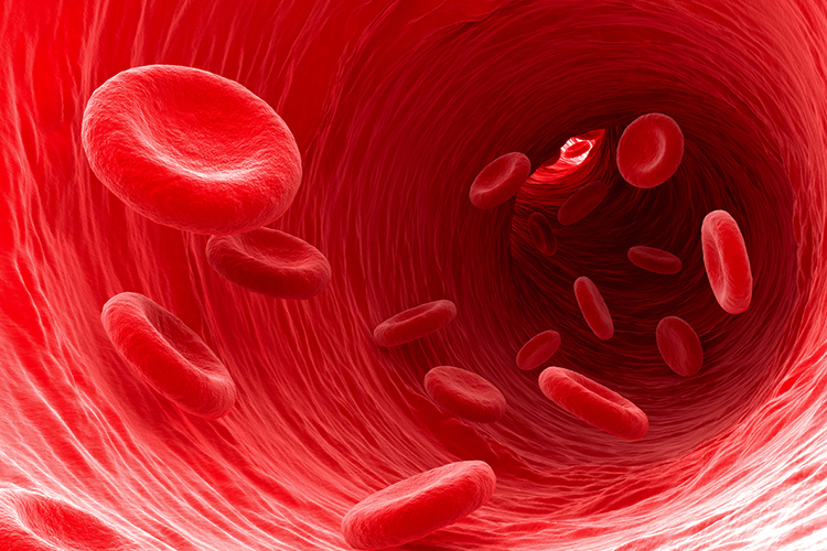 blood cells