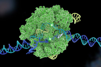 model of CRISPR-Cas9
