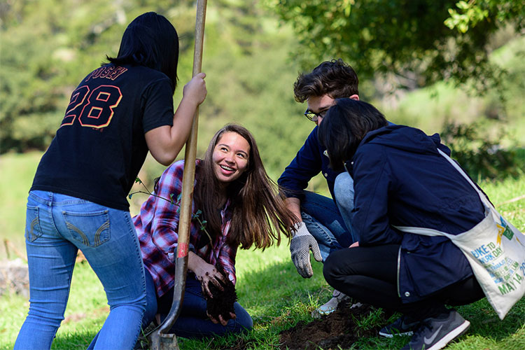 students digging