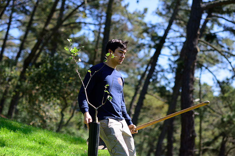 student carrying tree