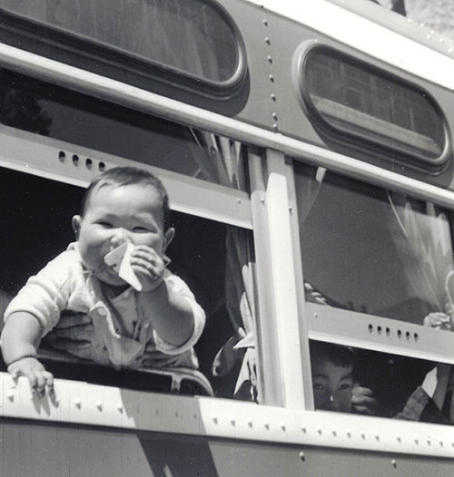 A baby tugs on its ID tag while looking out the window of a bus transporting Japanese Americans to Tanforan.