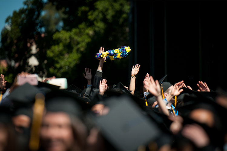 lei tossed in air