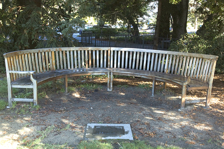 bench