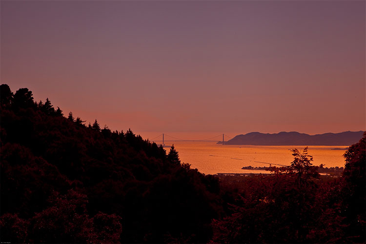 Sunset from the UC Botanical Garden.