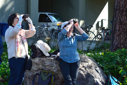 volunteers with binoculars