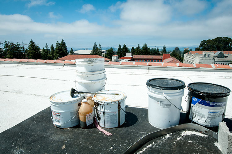 view from the roof