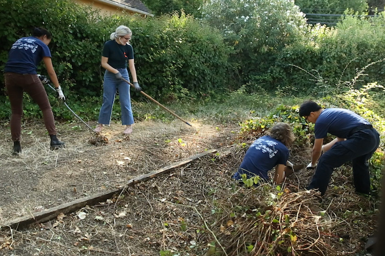 Students with the Berkeley Student Cooperative clean a senior's home as part of a service project. (UC Berkeley photo by Stephen McNally)