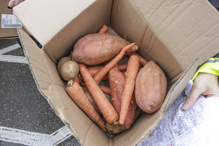 Each of the 45 recipients got a box of produce, a frozen turkey and a $40 gift card to Safeway, courtesy of UCPD and Cal Dining. (UC Berkeley photo by Jeremy Snowden)