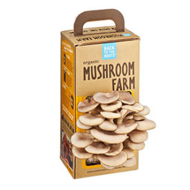 A Mushroom farm package with mushrooms growing out of a hold in the front of the packaging. 